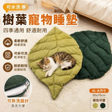 👉️特惠免運🧘🏻‍♀️【雙色可選】可拆卸清洗 狗窩 狗床 寵物睡墊 寵物床 貓窩 涼窩 寵物睡床 狗墊 寵物毯子 貓毛毯