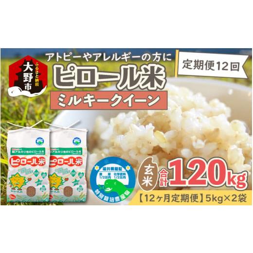 ふるさと納税 福井県 大野市 ミネラル豊富！弱アルカリ性のピロール米 ミルキークイーン 玄米 10kg（5kg×2袋）×12回　計…