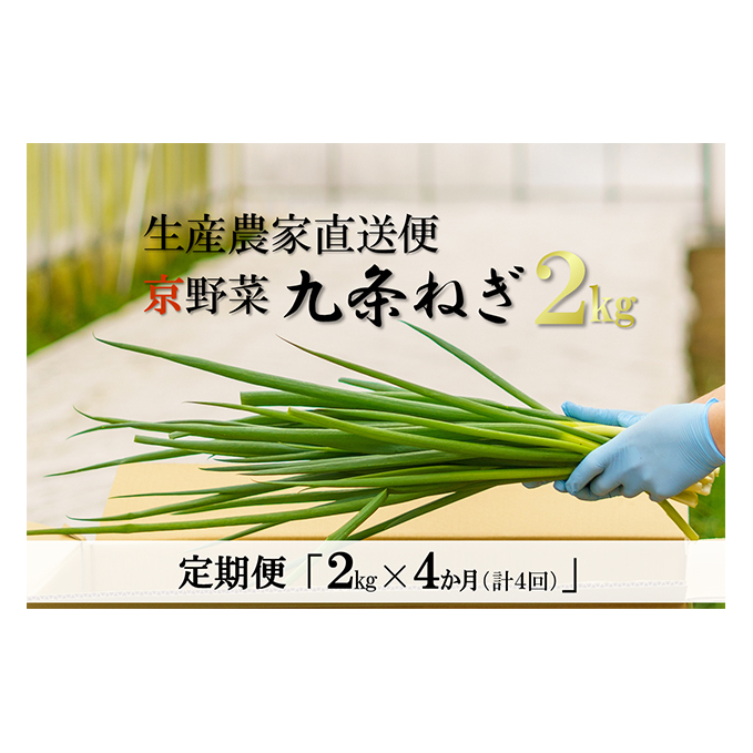 生産農家直送　京野菜・九条ねぎ　2kg×4回