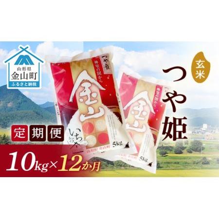 ふるさと納税 《定期便》金山産米「つや姫」10kg×12ヶ月 計120kg 12ヶ月 米 お米 白米 ご飯 玄米 ブランド米 つや姫 送料無料 東北.. 山形県金山町