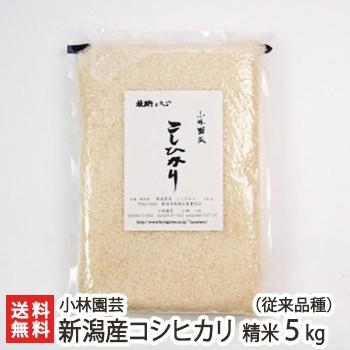 新潟産コシヒカリ（従来品種）精米5kg 小林園芸 送料無料