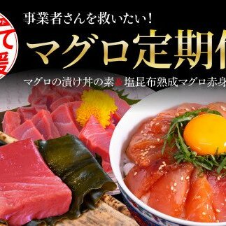 事業者さんを救いたいマグロ2ヶ月定期便／1回目：マグロの漬け丼、2回目：塩昆布14日間熟成マグロ赤身＆中トロセット