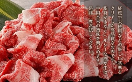 牛肉 切り落とし 熊本県産 GI 認証取得 くまもと あか牛 合計1kg 配送不可 離島