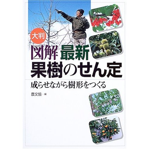 大判図解 最新果樹のせん定: 成らせながら樹形をつくる