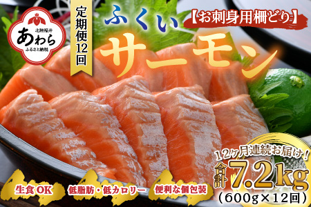 《定期便12回》ふくいサーモン 柵どり 150g×4パック 計600g ＜鮮度抜群！真空冷凍＞ ／ 生食OK 刺身 鮭 国産 ※2024年8月中旬以降順次発送