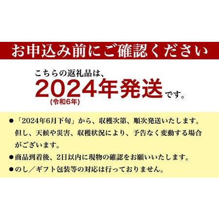 ふるさと納税 アップルマンゴー 秀品 南城市 約2kg (3〜5玉) 沖縄県南城市