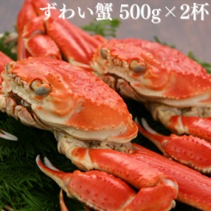 ずわい蟹 ズワイガニ 500g×2杯 ボイル 送料無料