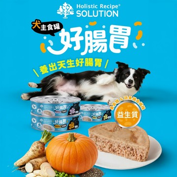[承佳]  SOLUTION 耐吉斯 犬用 好腸胃主食罐 80g 全齡犬罐 狗主食 腸胃保健 熟齡 狗罐(24罐/箱購組)