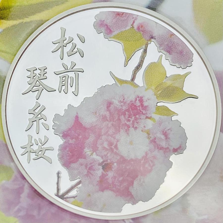 桜の通り抜け2014プルーフ貨幣セット 松前琴糸桜 平成26年 額面666円 銀約20g 記念硬貨 貨幣 コイン メダル 貴金属 造幣局