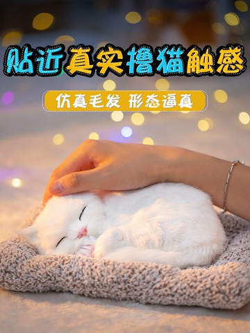 生日禮物女生精致閨蜜女孩七夕情人節送給女朋友的儀式實用高級感