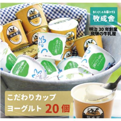 ふるさと納税 飛騨市 飛騨の牛乳屋・牧成舎のこだわりカップヨーグルト20個セット