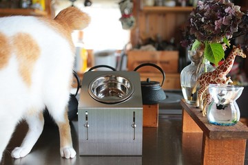 可升降斜面餐架【小型】可水洗不鏽鋼飼料架