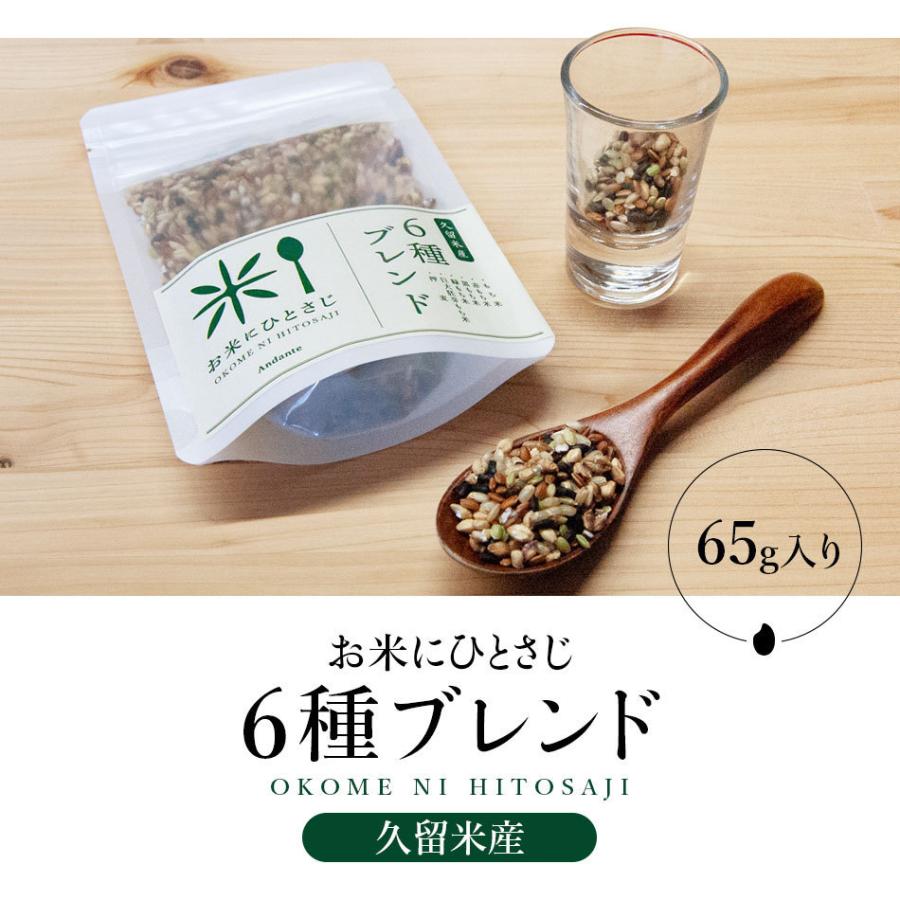 お米にひとさじ 久留米産 6種ブレンド 65g 雑穀米