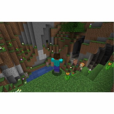 Minecraft: Java & Bedrock Edition for PC (オンラインコード版