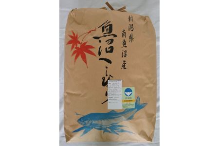 新潟県認証特別栽培米魚沼産しおざわコシヒカリ玄米20kg