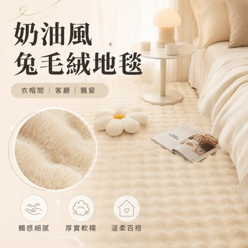 仿兔毛地毯🍓可機洗 ins風 奶油風 泡泡絨地毯 絨毛地毯 臥室床邊地毯 客廳地毯 飄窗地毯 親膚柔軟 現代簡約 地墊