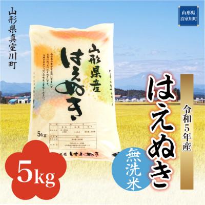 ふるさと納税 真室川町 令和5年産 はえぬき  5kg(5kg×1袋) 山形県 真室川町