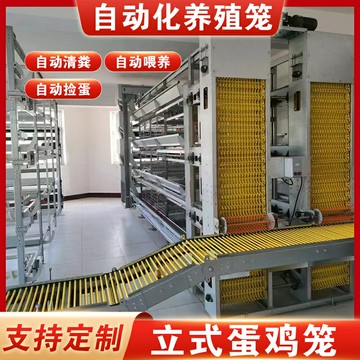 層疊蛋雞籠養殖場自動化清糞喂料撿蛋機養雞全自動設備立體蛋雞籠