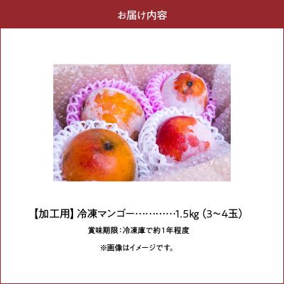 ふるさと納税 和泊町 「訳あり」加工用冷凍マンゴー1.5キロ(3〜4玉) 沖永良部島産