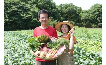 農薬不使用季節の野菜セット（10品）