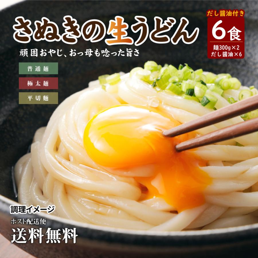 送料無料 3種から選べる 讃岐生うどん6食(300g×2袋) だし醤油付き うどん 讃岐うどん 香川 得トクセール ポイント消化 食品