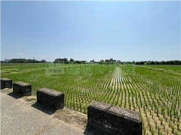 睦家#富岡10米路美農地｜桃園市新屋區十五間