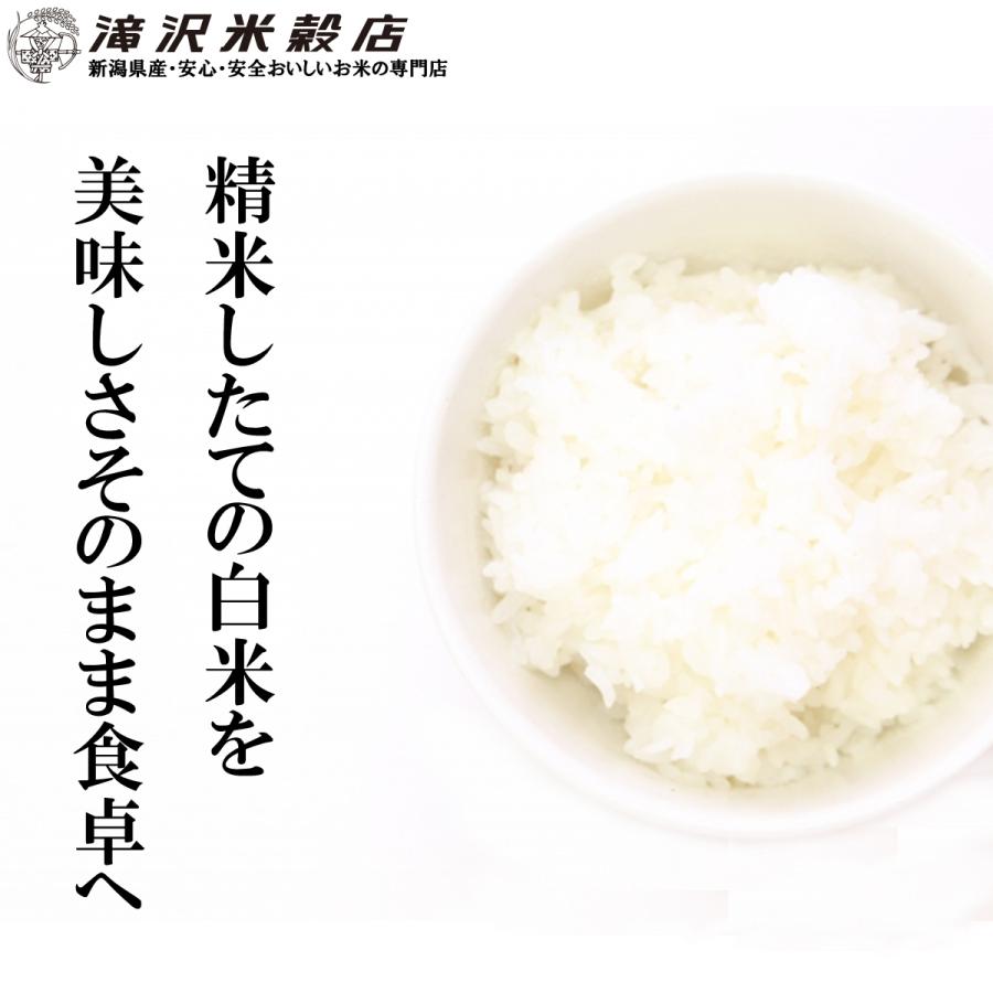 生活応援米 新潟米 20kg (5kg×4袋) コスパ重視 業務用 未検査米 安くてうまい! 食べ盛りの子供家庭におすすめ