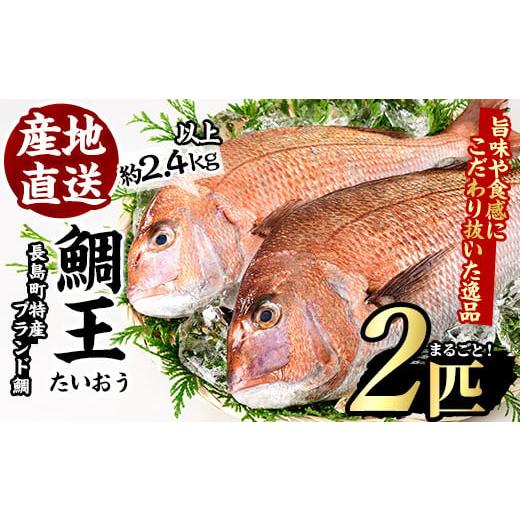 ふるさと納税 鹿児島県 長島町 長島町特産「鯛王」(2匹・約2.4kg)jfa-22