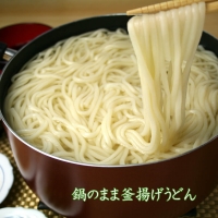 ふっくらモチモチ神埼生うどん 10袋入 (H014125)