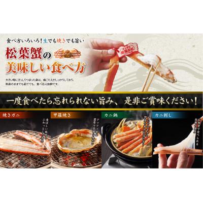 ふるさと納税 鳥取市 鳥取産活松葉がに 800g〜1kg (特大サイズ)