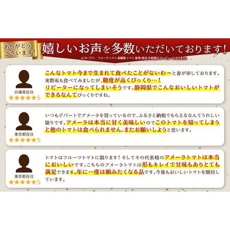 ふるさと納税 a10-371　アメーラ トマト 高糖度 トマト 産地 直送 化粧箱入 静岡県焼津市