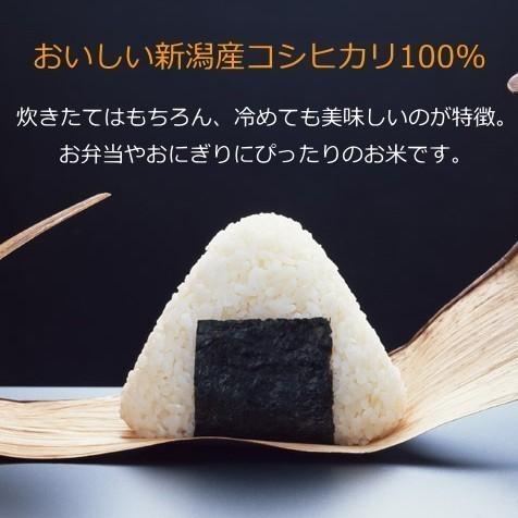 コシヒカリ 魚沼産 無洗米 4000円分（4キロ） 新潟米 お米 新潟産 産地直送 米 コメ お歳暮 自宅用 ギフト 贈答 贈り物