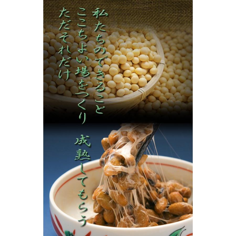 京納豆　青大豆　　80ｇ8個パック 納豆 藤原食品 大粒 粘り おいしい 美味しい 絶品 本物 手作り こだわり だいず 安心 安全 減農薬栽培 通販 京都