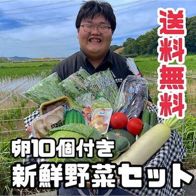 新鮮野菜セット　野菜15種類　たまご10個入りのおまけ付き（12月発送の方限定で炭火焼のプレゼント）