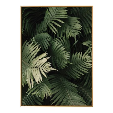 森森之意，蕨類植物印花  70 x 50cm  金色