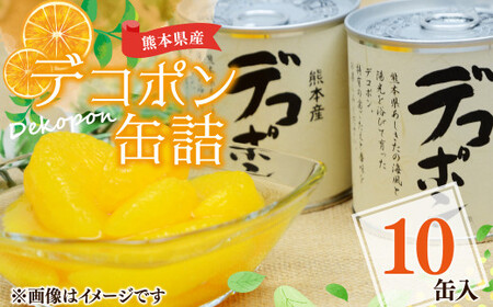  デコポン 缶詰 295g×10缶 果物 柑橘 フルーツ