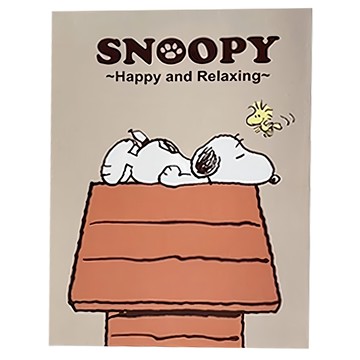 收納王妃 SNOOPY 小日子固頁筆記 16K 6本  橘色  1組
