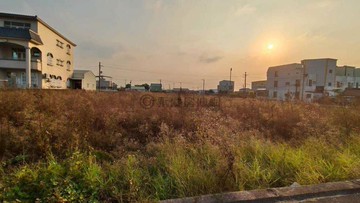 六甲正中正路旁雙面臨路近落羽松森林優質農地｜台南市六甲區中社