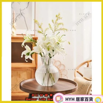 HYH【免運】玻璃花瓶 大肚玻璃花器 做工細膩 插花透明水養鮮花花瓶 幹花裝飾擺件 66