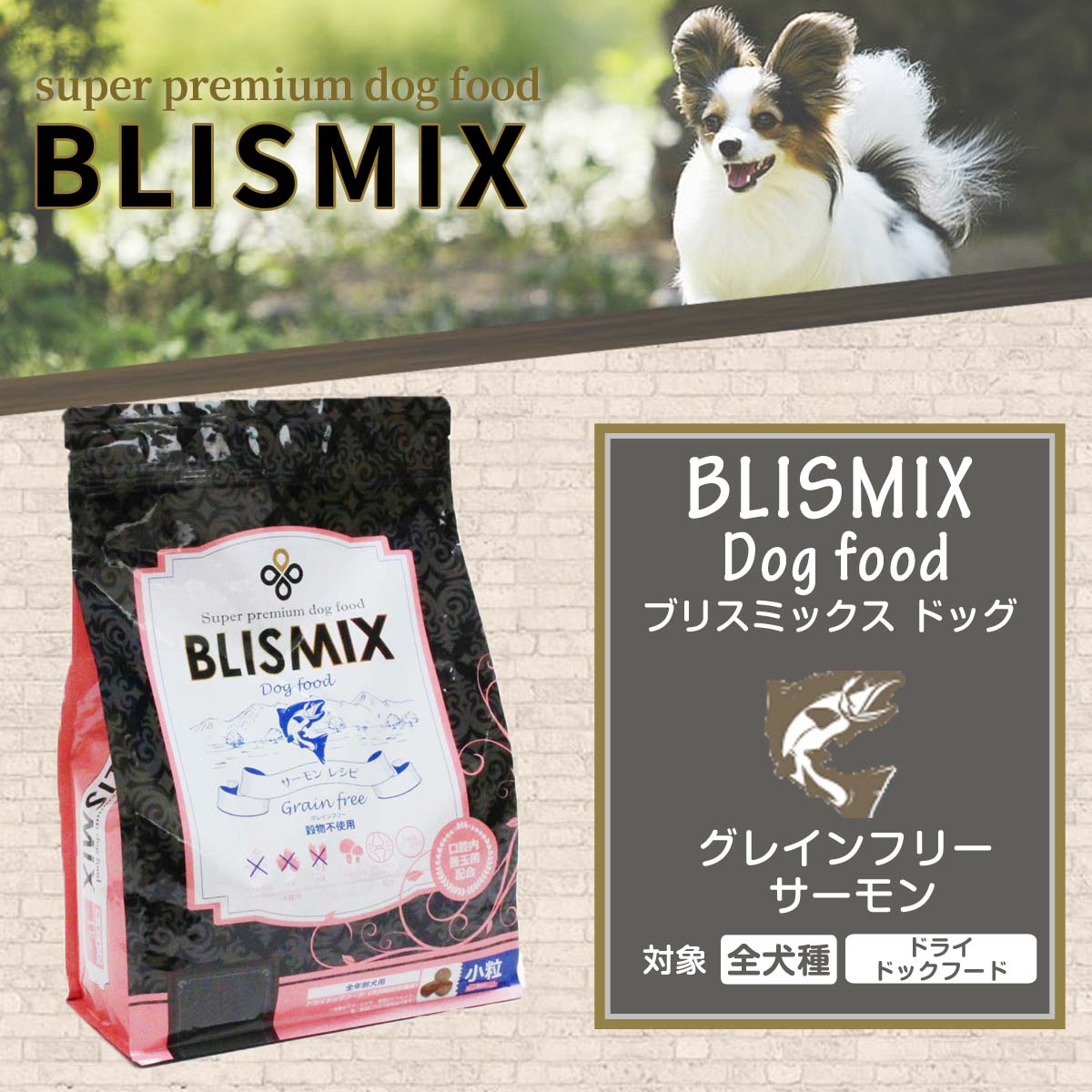 ブリスミックス グレインフリー サーモン小粒1kg