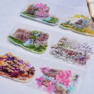 碧連天 PET 膠帶 5米卷