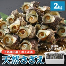 産地直送!天然さざえ ボイル済 2kg(500g × 4袋)