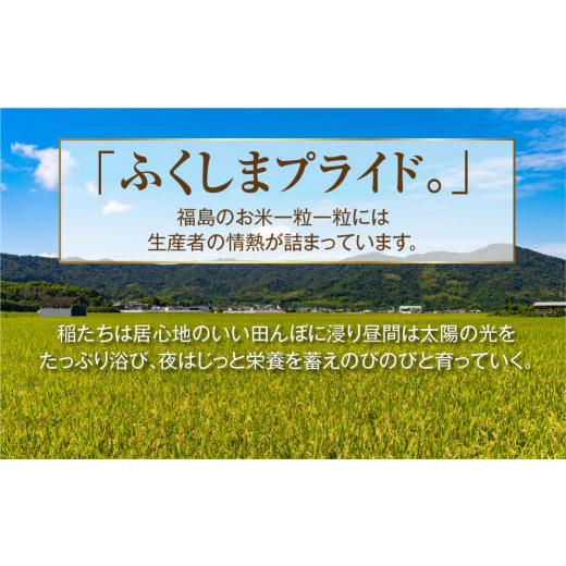 ふるさと納税 福島県 田村市    ＼定期便3回／ コシヒカリ 30kg 10kg ずつ 3回 配送ギフト 贅沢 のし対応 １週間以内発送 福…