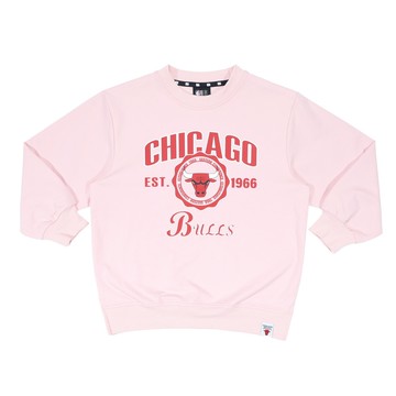 NBA 兒童/青少年 女款 正面隊徽 大學TEE 長袖上衣 公牛隊