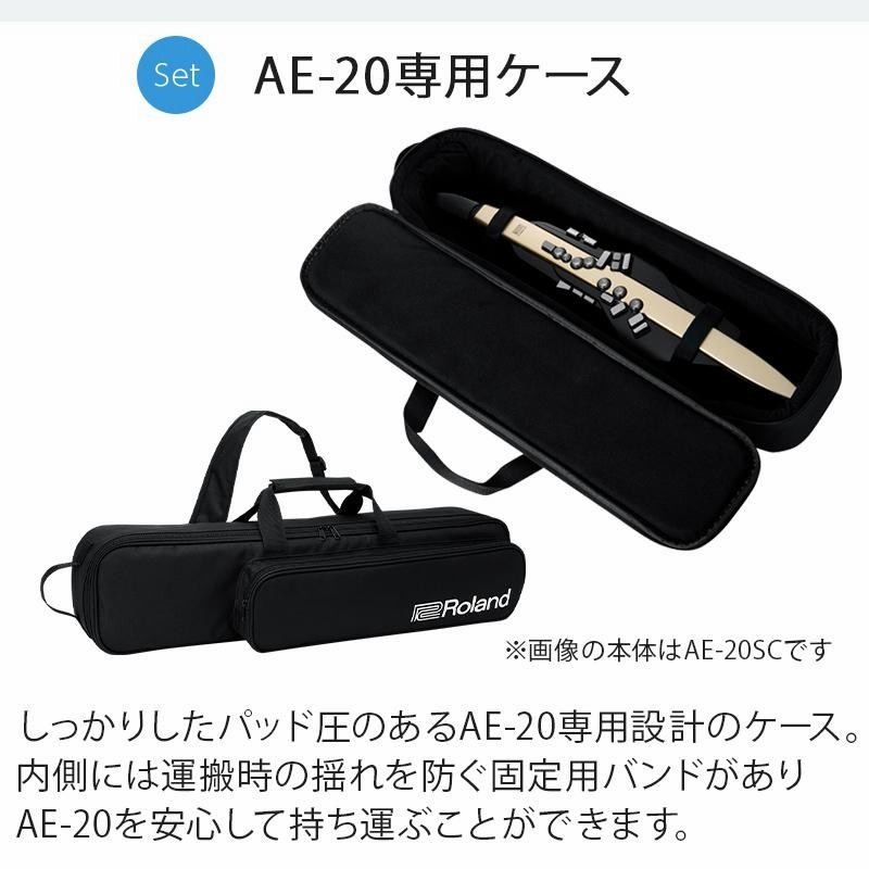 Roland ローランド AE-20 ケース ヘッドホン 専用スタンド ガイド 