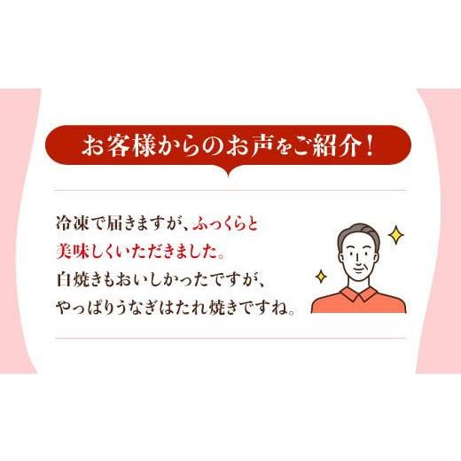 ふるさと納税 佐賀県 吉野ヶ里町 お店と変わらない味！？ふっくらジューシーのこだわり国産うなぎ蒲焼・白焼3枚セット（うなぎ蒲焼2枚・白焼1枚） [FA…