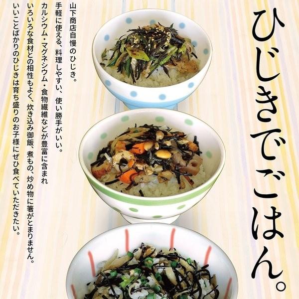 糸島の乾物　海藻　お試しセット　送料無料　乾燥ひじき・海のサラダ