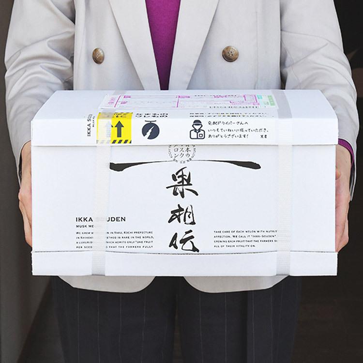 マスクメロン ギフト 高級 1玉 1.4kg 良品 産地直送 高知県産 贈答用 産直 常温便 同梱不可 指定日不可