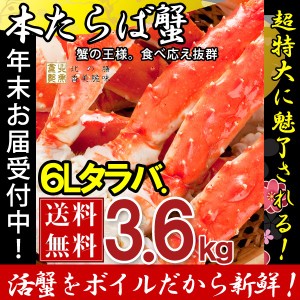 タラバガニ たらば蟹 脚 足 ボイル 大型 6L (3肩3.5kg) 冷凍 北海道加工 たらば蟹 送料無料 かに ギフト プレゼント お買い得