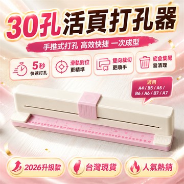隔日⚡到貨 打孔器 30孔打孔器 多孔打孔器 打洞器 活頁本打孔器 打洞機 多尺寸打孔機 30孔規劃器 活頁筆記本打孔